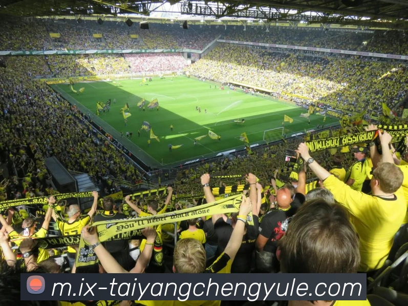 澳门太阳城APP 封面图